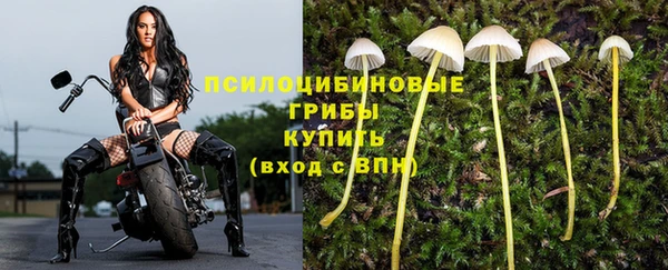 герыч Нея